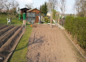 Garten 2019