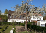 Garten 2019