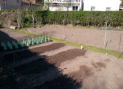 Garten 2019