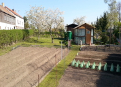 Garten 2019