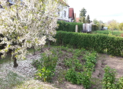 Garten 2019