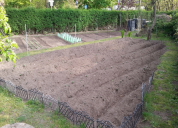 Garten 2019
