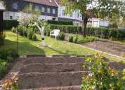 Garten 2019