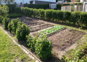 Garten 2019