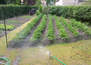 Garten 2019