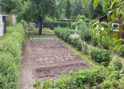 Garten 2019