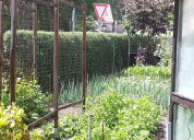 Garten 2019