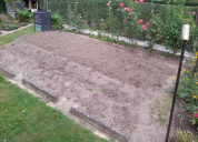 Garten 2019
