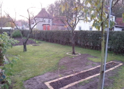 Garten 2019