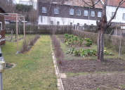 Garten 2020