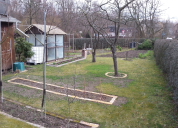 Garten 2020