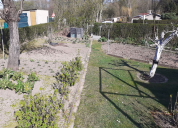 Garten 2020