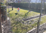 Garten 2020