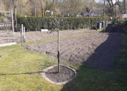 Garten 2020