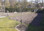 Garten 2020