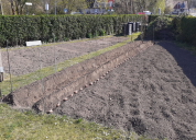 Garten 2020