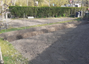 Garten 2020