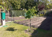 Garten 2020