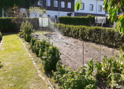 Garten 2020