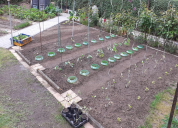 Garten 2020