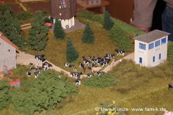 Foto 428 bis 599 von 830 Modellbahn-Schkeuditz