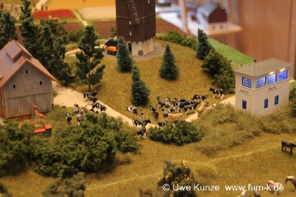 Foto 429 bis 599 von 830 Modellbahn-Schkeuditz