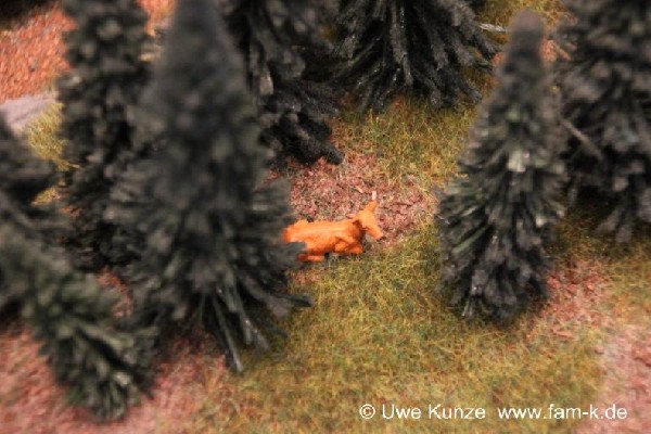 Foto 433 bis 599 von 830 Modellbahn-Schkeuditz