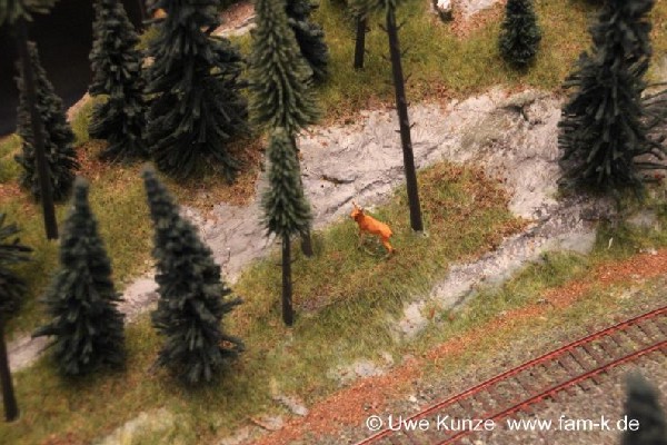 Foto 434 bis 599 von 830 Modellbahn-Schkeuditz