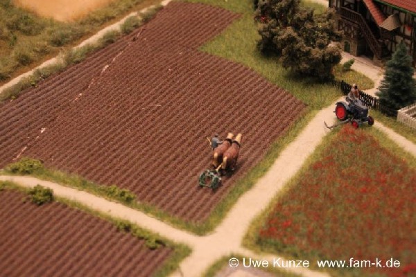 Foto 455 bis 599 von 830 Modellbahn-Schkeuditz