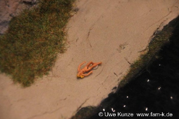 Foto 512 bis 599 von 830 Modellbahn-Schkeuditz