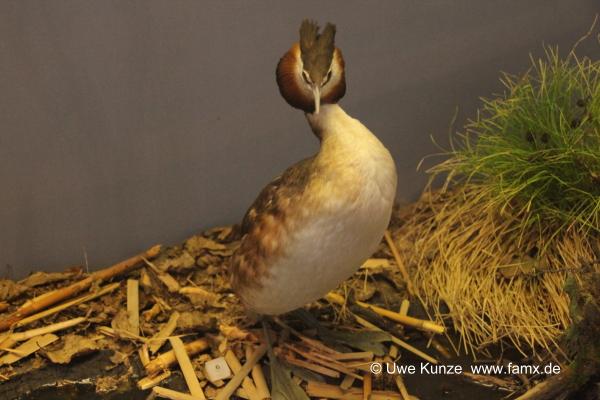 Foto 133 von 238 Berlin Zitadelle Spandau