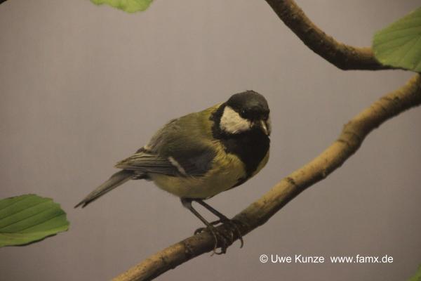 Foto 134 von 238 Berlin Zitadelle Spandau