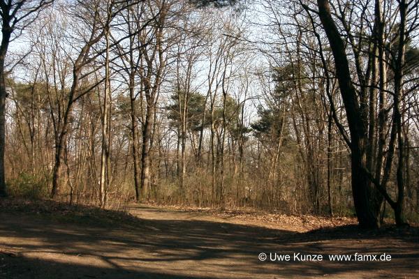 Foto 001 von 109 | Stadtpark Taucha