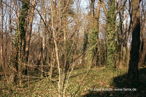 Foto 002 von 109 | Stadtpark Taucha