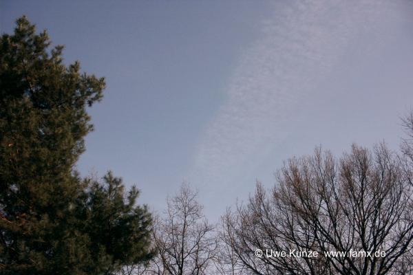 Foto 004 von 109 | Stadtpark Taucha