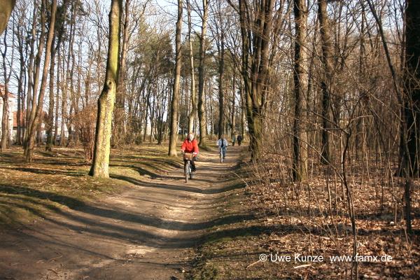 Foto 008 von 109 | Stadtpark Taucha
