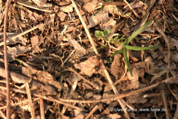 Foto 074 von 109 | Mitteldeutschen Motorenwerke MiMo Taucha