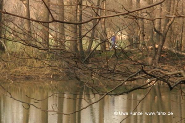Foto 091 von 109 | Mitteldeutschen Motorenwerke MiMo Taucha