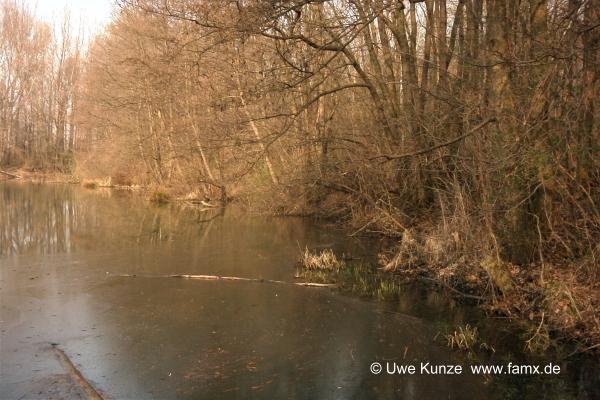 Foto 093 von 109 | Mitteldeutschen Motorenwerke MiMo Taucha
