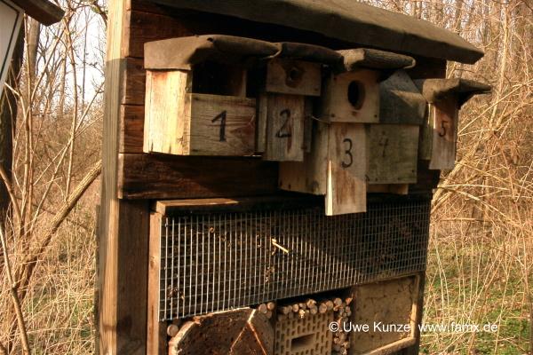 Foto 101 von 109 | Mitteldeutschen Motorenwerke MiMo Taucha