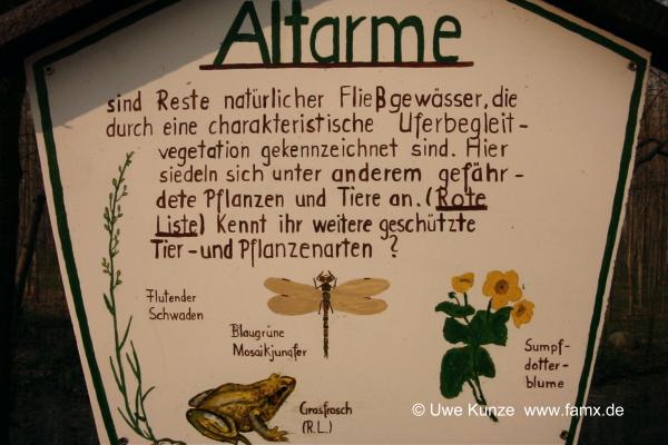 Foto 102 von 109 | Mitteldeutschen Motorenwerke MiMo Taucha