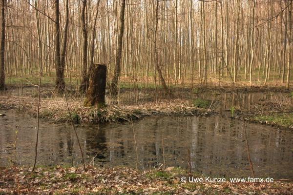 Foto 103 von 109 | Mitteldeutschen Motorenwerke MiMo Taucha
