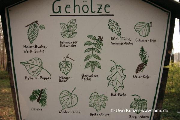 Foto 105 von 109 | Mitteldeutschen Motorenwerke MiMo Taucha