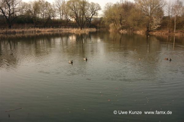 Foto 108 von 109 | Ententeich Plaußig Taucha