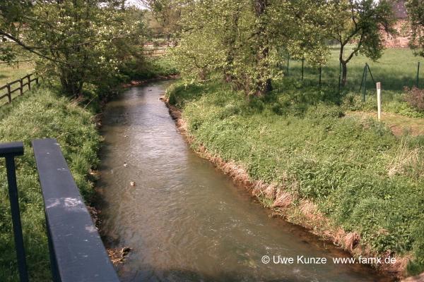 Foto 01 von 97 | Parte in Cradefeld Taucha