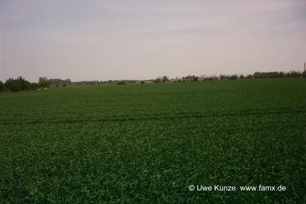 Foto 12 von 97 | Staditz Taucha