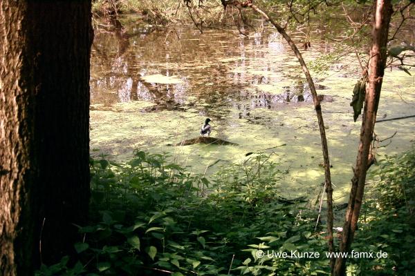 Foto 21 von 97 | Staditz Taucha