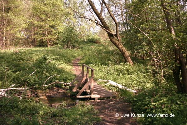 Foto 23 von 97 | Staditz Taucha