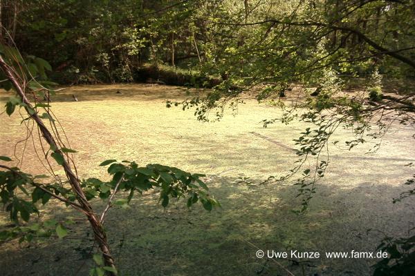 Foto 29 von 97 | Staditz Taucha