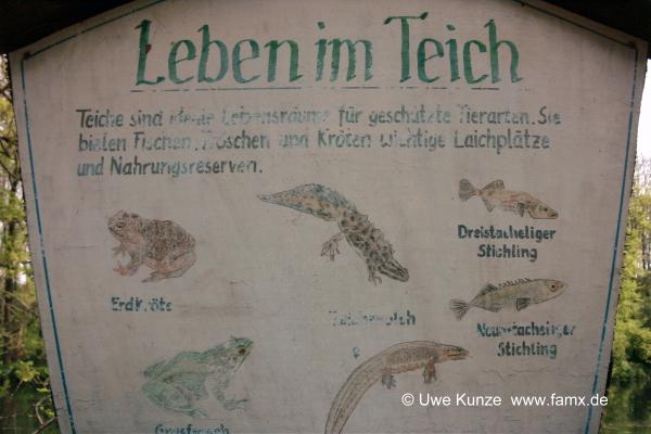 Foto 31 von 97 | Staditz Taucha